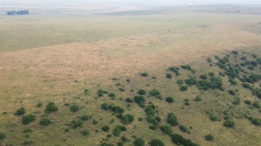 Commercial Property for Sale in Villiers Free State